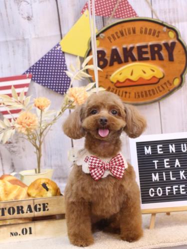 20240919永遠ちゃん